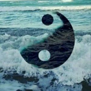 Meet your Posher, Salma